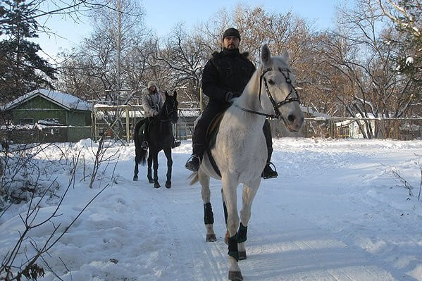 Романтическая конная прогулка. Подарочные сертификаты Ultra Подарки Новокузнецк. Купить оригинальный подарок или подарочный сертификат на Романтическая конная прогулка. Сервис UltraPodarki.ru Новокузнецк 8 800 505 95 30. 
