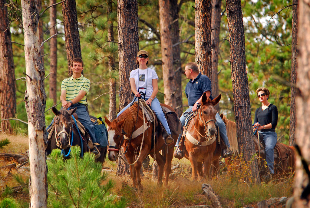 Прогулки на лошадях в Новокузнецке