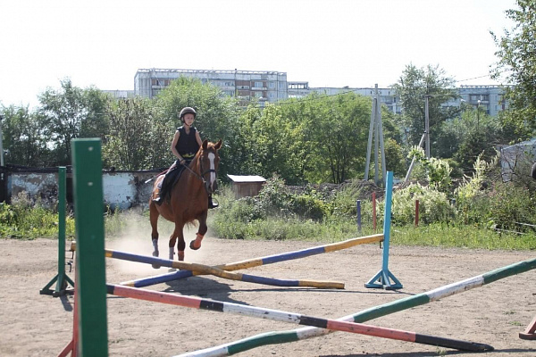Обучение верховой езде в Новокузнецке. Подарочные сертификаты Ultra Подарки. Купить оригинальный подарок или подарочный сертификат на Обучение верховой езде в Новокузнецке. Сервис UltraPodarki.ru 8-800-505-9530. Катание на лошадях, Прогулка на лошади, Прогулка на лошадях для двоих, Обучение верховой езде, конный клуб, Конный клуб Гиппа, конная прогулка, конная прогулка в Новокузнецке