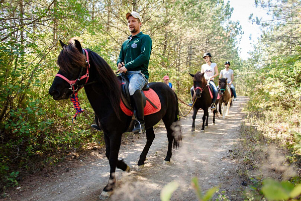 Семейная конная прогулка в Новокузнецке. Подарочные сертификаты Ultra Подарки. Купить оригинальный подарок или подарочный сертификат на Семейная конная прогулка в Новокузнецке. Сервис UltraPodarki.ru 8-800-505-9530. Катание на лошадях, Прогулка на лошади, Прогулка на лошадях для двоих, Семейная конная прогулка, конный клуб, Конный клуб Гиппа, конная прогулка, конная прогулка в Новокузнецке