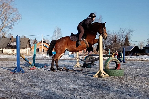 Обучение верховой езде в Новокузнецке. Подарочные сертификаты Ultra Подарки. Купить оригинальный подарок или подарочный сертификат на Обучение верховой езде в Новокузнецке. Сервис UltraPodarki.ru 8-800-505-9530. Катание на лошадях, Прогулка на лошади, Прогулка на лошадях для двоих, Обучение верховой езде, конный клуб, Конный клуб Гиппа, конная прогулка, конная прогулка в Новокузнецке