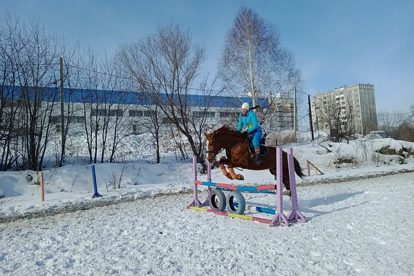 Обучение верховой езде в Новокузнецке. Подарочные сертификаты Ultra Подарки. Купить оригинальный подарок или подарочный сертификат на Обучение верховой езде в Новокузнецке. Сервис UltraPodarki.ru 8-800-505-9530. Катание на лошадях, Прогулка на лошади, Прогулка на лошадях для двоих, Обучение верховой езде, конный клуб, Конный клуб Гиппа, конная прогулка, конная прогулка в Новокузнецке