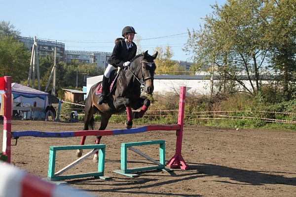 Обучение верховой езде в Новокузнецке. Подарочные сертификаты Ultra Подарки. Купить оригинальный подарок или подарочный сертификат на Обучение верховой езде в Новокузнецке. Сервис UltraPodarki.ru 8-800-505-9530. Катание на лошадях, Прогулка на лошади, Прогулка на лошадях для двоих, Обучение верховой езде, конный клуб, Конный клуб Гиппа, конная прогулка, конная прогулка в Новокузнецке