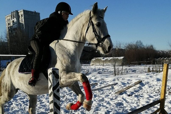 Обучение верховой езде в Новокузнецке. Подарочные сертификаты Ultra Подарки. Купить оригинальный подарок или подарочный сертификат на Обучение верховой езде в Новокузнецке. Сервис UltraPodarki.ru 8-800-505-9530. Катание на лошадях, Прогулка на лошади, Прогулка на лошадях для двоих, Обучение верховой езде, конный клуб, Конный клуб Гиппа, конная прогулка, конная прогулка в Новокузнецке