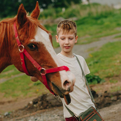 Семейная конная прогулка в Новокузнецке. Подарочные сертификаты Ultra Подарки. Купить оригинальный подарок или подарочный сертификат на Семейная конная прогулка в Новокузнецке. Сервис UltraPodarki.ru 8-800-505-9530. Катание на лошадях, Прогулка на лошади, Прогулка на лошадях для двоих, Семейная конная прогулка, конный клуб, Конный клуб Гиппа, конная прогулка, конная прогулка в Новокузнецке