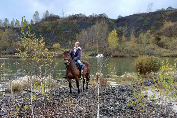 Обучение верховой езде в Новокузнецке. Подарочные сертификаты Ultra Подарки. Купить оригинальный подарок или подарочный сертификат на Обучение верховой езде в Новокузнецке. Сервис UltraPodarki.ru 8-800-505-9530. Катание на лошадях, Прогулка на лошади, Прогулка на лошадях для двоих, Обучение верховой езде, конный клуб, Конный клуб Гиппа, конная прогулка, конная прогулка в Новокузнецке