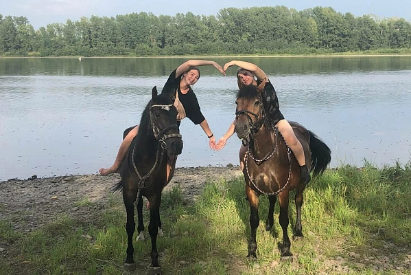 Обучение верховой езде в Новокузнецке. Подарочные сертификаты Ultra Подарки. Купить оригинальный подарок или подарочный сертификат на Обучение верховой езде в Новокузнецке. Сервис UltraPodarki.ru 8-800-505-9530. Катание на лошадях, Прогулка на лошади, Прогулка на лошадях для двоих, Обучение верховой езде, конный клуб, Конный клуб Гиппа, конная прогулка, конная прогулка в Новокузнецке