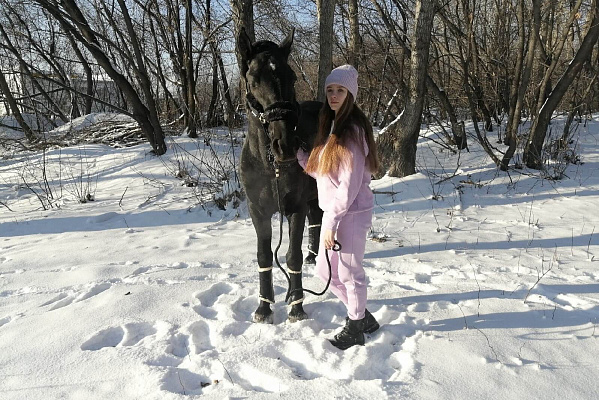 Обучение верховой езде в Новокузнецке. Подарочные сертификаты Ultra Подарки. Купить оригинальный подарок или подарочный сертификат на Обучение верховой езде в Новокузнецке. Сервис UltraPodarki.ru 8-800-505-9530. Катание на лошадях, Прогулка на лошади, Прогулка на лошадях для двоих, Обучение верховой езде, конный клуб, Конный клуб Гиппа, конная прогулка, конная прогулка в Новокузнецке