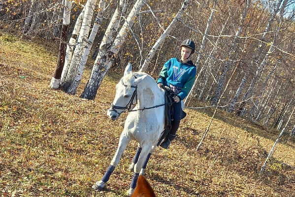 Обучение верховой езде в Новокузнецке. Подарочные сертификаты Ultra Подарки. Купить оригинальный подарок или подарочный сертификат на Обучение верховой езде в Новокузнецке. Сервис UltraPodarki.ru 8-800-505-9530. Катание на лошадях, Прогулка на лошади, Прогулка на лошадях для двоих, Обучение верховой езде, конный клуб, Конный клуб Гиппа, конная прогулка, конная прогулка в Новокузнецке