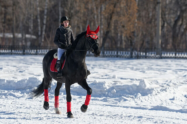 Обучение верховой езде в Новокузнецке. Подарочные сертификаты Ultra Подарки. Купить оригинальный подарок или подарочный сертификат на Обучение верховой езде в Новокузнецке. Сервис UltraPodarki.ru 8-800-505-9530. Катание на лошадях, Прогулка на лошади, Прогулка на лошадях для двоих, Обучение верховой езде, конный клуб, Конный клуб Гиппа, конная прогулка, конная прогулка в Новокузнецке