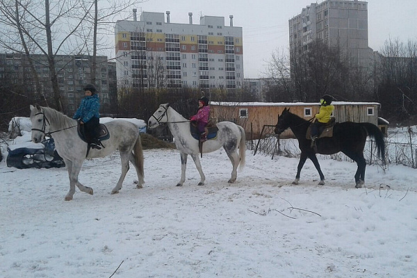 Обучение верховой езде в Новокузнецке. Подарочные сертификаты Ultra Подарки. Купить оригинальный подарок или подарочный сертификат на Обучение верховой езде в Новокузнецке. Сервис UltraPodarki.ru 8-800-505-9530. Катание на лошадях, Прогулка на лошади, Прогулка на лошадях для двоих, Обучение верховой езде, конный клуб, Конный клуб Гиппа, конная прогулка, конная прогулка в Новокузнецке