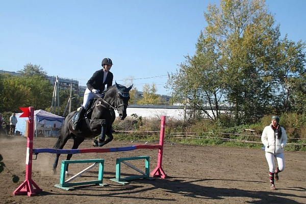 Обучение верховой езде в Новокузнецке. Подарочные сертификаты Ultra Подарки. Купить оригинальный подарок или подарочный сертификат на Обучение верховой езде в Новокузнецке. Сервис UltraPodarki.ru 8-800-505-9530. Катание на лошадях, Прогулка на лошади, Прогулка на лошадях для двоих, Обучение верховой езде, конный клуб, Конный клуб Гиппа, конная прогулка, конная прогулка в Новокузнецке