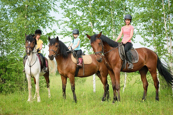 Семейная конная прогулка в Новокузнецке. Подарочные сертификаты Ultra Подарки. Купить оригинальный подарок или подарочный сертификат на Семейная конная прогулка в Новокузнецке. Сервис UltraPodarki.ru 8-800-505-9530. Катание на лошадях, Прогулка на лошади, Прогулка на лошадях для двоих, Семейная конная прогулка, конный клуб, Конный клуб Гиппа, конная прогулка, конная прогулка в Новокузнецке