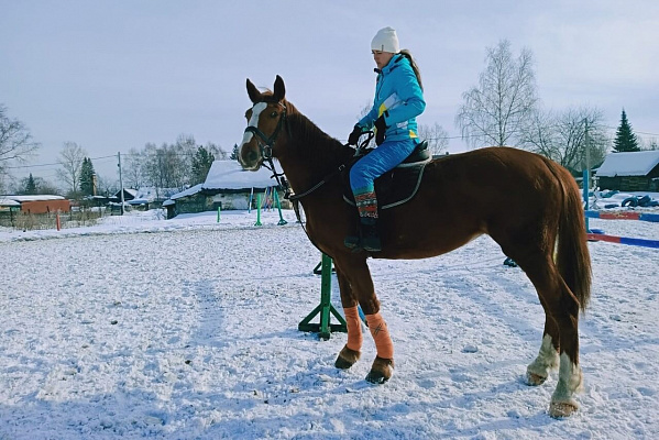 Обучение верховой езде в Новокузнецке. Подарочные сертификаты Ultra Подарки. Купить оригинальный подарок или подарочный сертификат на Обучение верховой езде в Новокузнецке. Сервис UltraPodarki.ru 8-800-505-9530. Катание на лошадях, Прогулка на лошади, Прогулка на лошадях для двоих, Обучение верховой езде, конный клуб, Конный клуб Гиппа, конная прогулка, конная прогулка в Новокузнецке