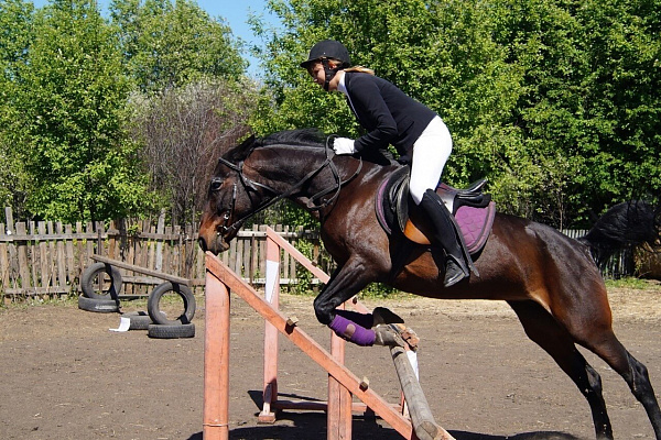 Обучение верховой езде в Новокузнецке. Подарочные сертификаты Ultra Подарки. Купить оригинальный подарок или подарочный сертификат на Обучение верховой езде в Новокузнецке. Сервис UltraPodarki.ru 8-800-505-9530. Катание на лошадях, Прогулка на лошади, Прогулка на лошадях для двоих, Обучение верховой езде, конный клуб, Конный клуб Гиппа, конная прогулка, конная прогулка в Новокузнецке