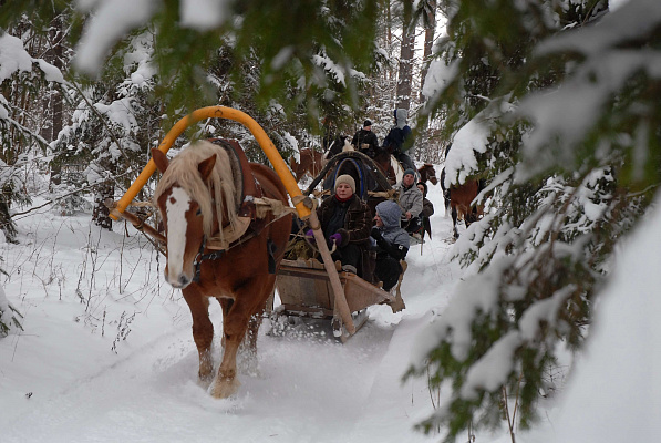 Романтическая конная прогулка. Подарочные сертификаты Ultra Подарки Новокузнецк. Купить оригинальный подарок или подарочный сертификат на Романтическая конная прогулка. Сервис UltraPodarki.ru Новокузнецк 8 800 505 95 30. 