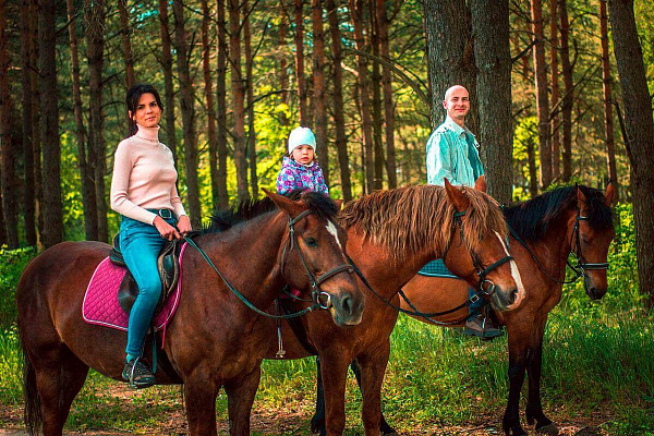Семейная конная прогулка в Новокузнецке. Подарочные сертификаты Ultra Подарки. Купить оригинальный подарок или подарочный сертификат на Семейная конная прогулка в Новокузнецке. Сервис UltraPodarki.ru 8-800-505-9530. Катание на лошадях, Прогулка на лошади, Прогулка на лошадях для двоих, Семейная конная прогулка, конный клуб, Конный клуб Гиппа, конная прогулка, конная прогулка в Новокузнецке
